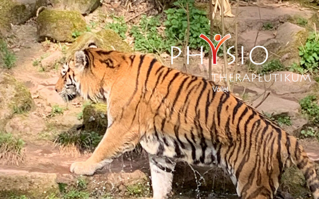 Tierischer Teamausflug